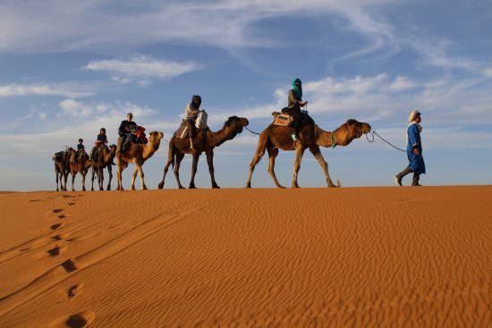 AGAFAY TWILIGHT : BALADE À CHAMEAU, AVENTURES EN QUAD ET DÎNER SPECTACLE À MARRAKECH 581