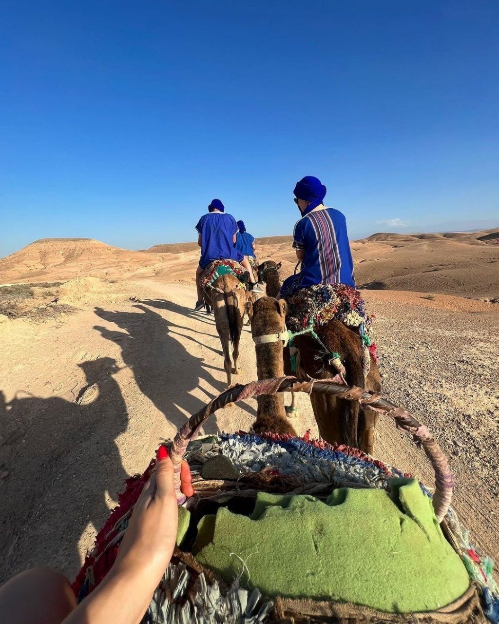 BALADE À CHAMEAU À AGAFAY ET AVENTURES DANS LA VALLÉE DE L'OURIKA 576