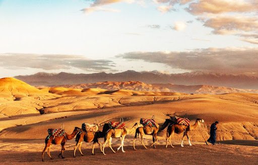 BALADE À CHAMEAU À AGAFAY ET AVENTURES DANS LA VALLÉE DE L'OURIKA 578